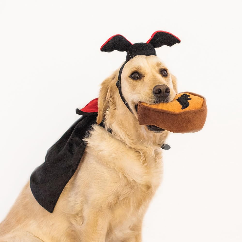 Batty Dracula Halloween Dog Costume Kit