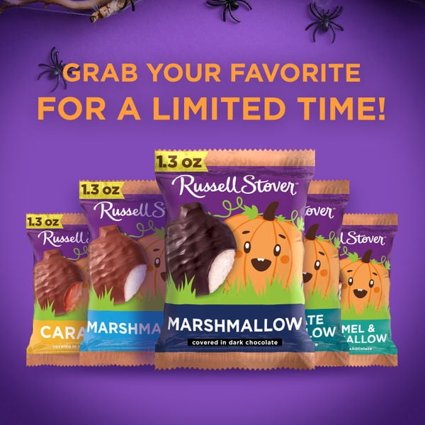 RUSSELL STOVER Halloween Milk Chocolate Chocolate Truffle Pumpkin, 1.3 oz.