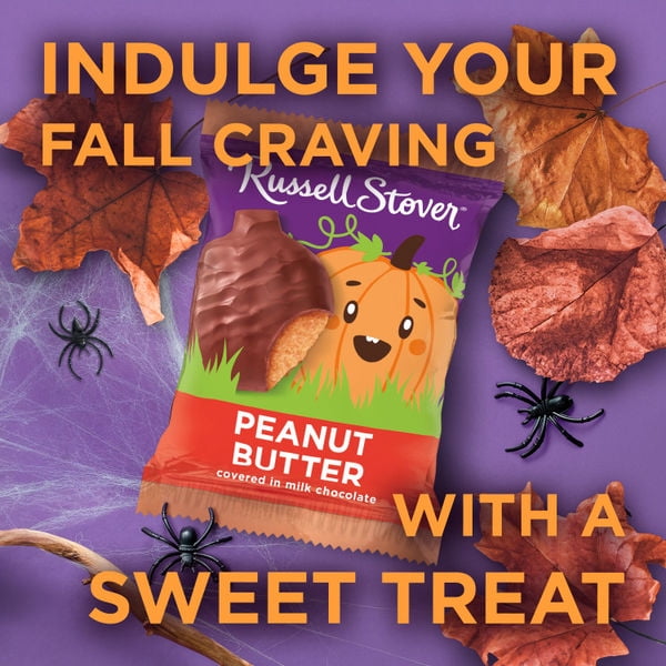 RUSSELL STOVER Halloween Dark Chocolate Marshmallow Pumpkin, 1.3 oz.