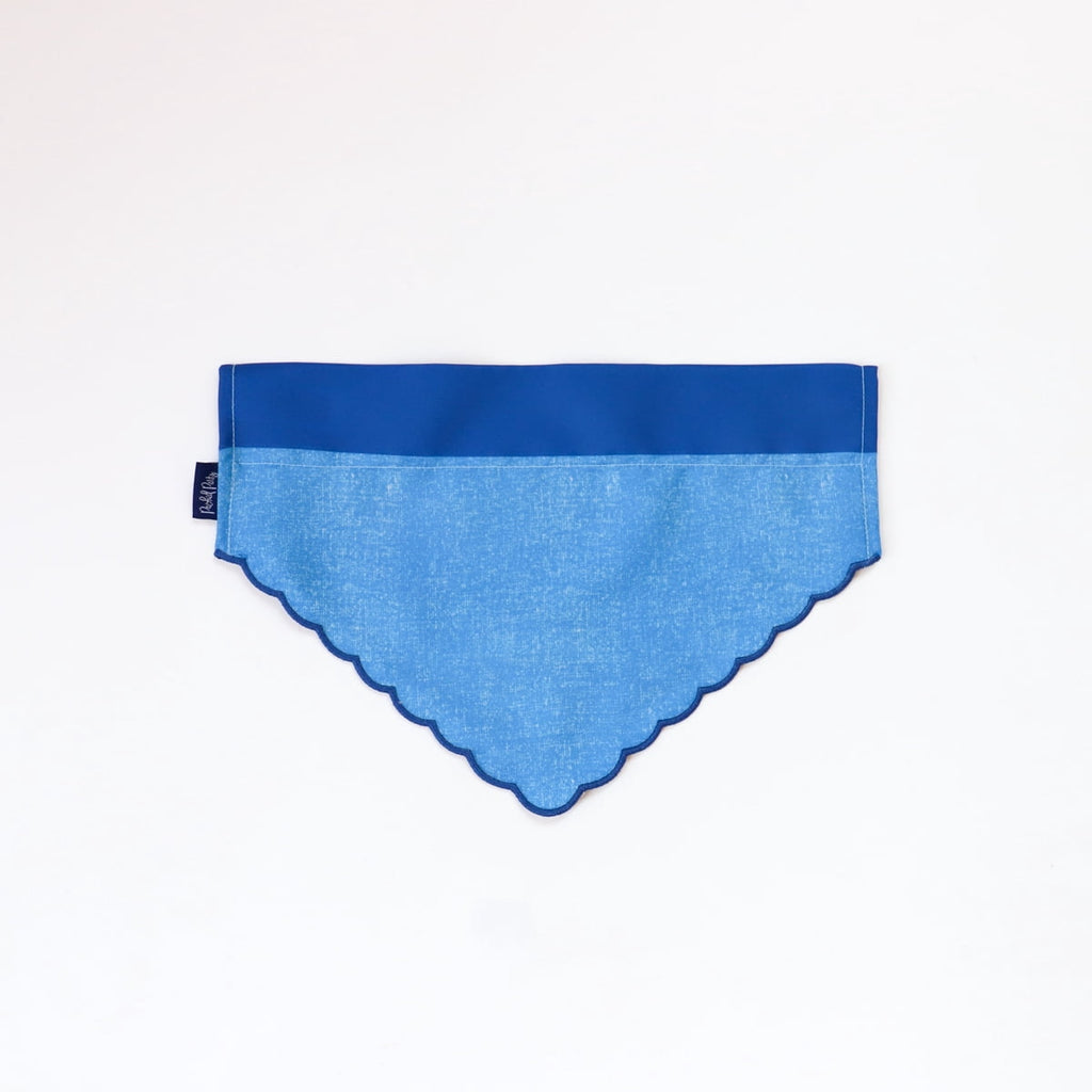 Packed Party Bandana for Dogs, Patches, Extra Small/Small