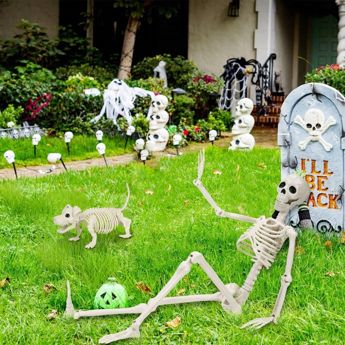 Ayieyill 2pcs Skeleton and Dog Skeleton Halloween Decorations Posable Skeletons Halloween Decorations Indoor Outdoor